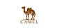 CAMEL骆驼